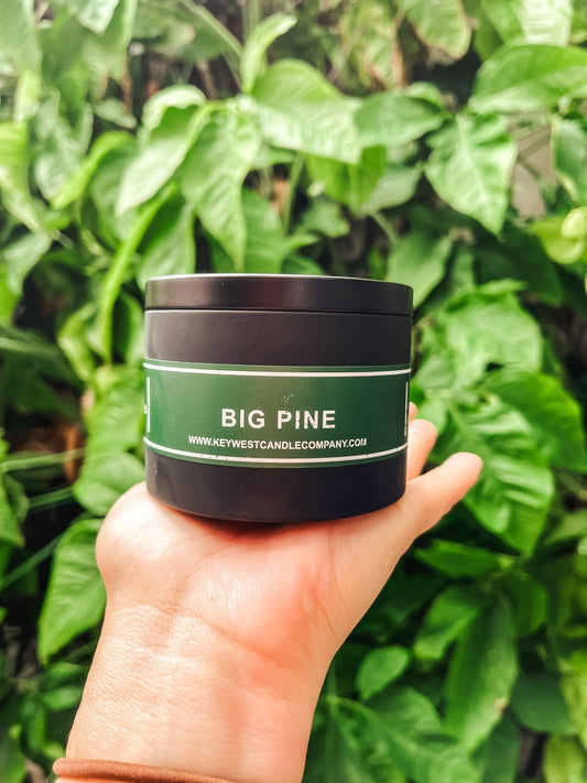 Big Pine 8oz Travel Tin - Key West Candle Co.